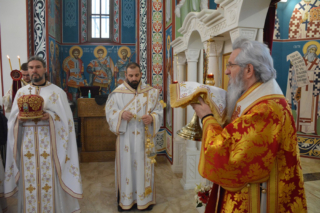 Владика у Шопићу