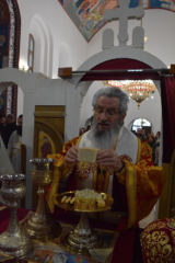 Владика у Шопићу