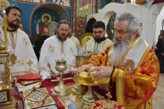 Владика у Шопићу