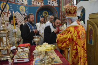 Владика у Шопићу
