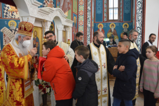Владика у Шопићу