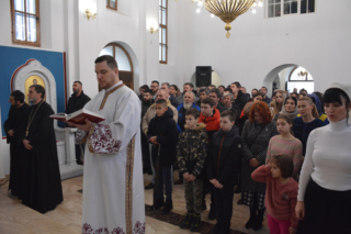 Владика у Шопићу
