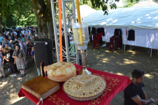 Zemlja zivih