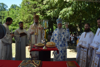 Zemlja zivih