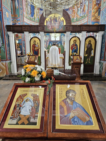 veliki crljeni_2 veliki crljeni