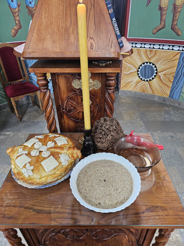 veliki crljeni_3 veliki crljeni