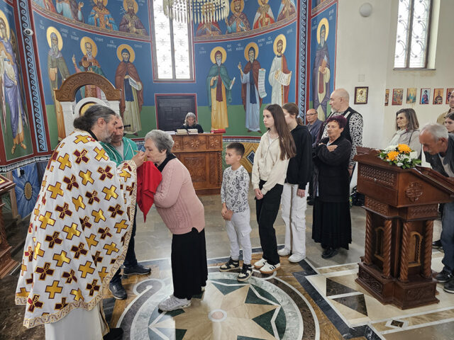 veliki crljeni_4 veliki crljeni