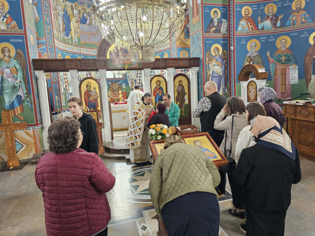 veliki crljeni_5 veliki crljeni