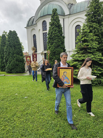 veliki crljeni_6 veliki crljeni