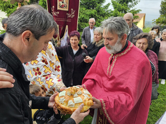 veliki crljeni_8 veliki crljeni