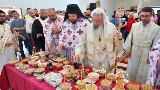 vladika u Petki_21 vladika u Petki