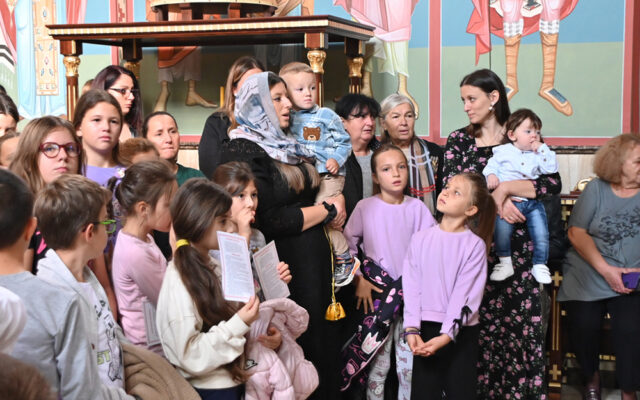 barosevac_14 barosevac