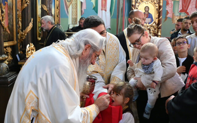 barosevac_16 barosevac