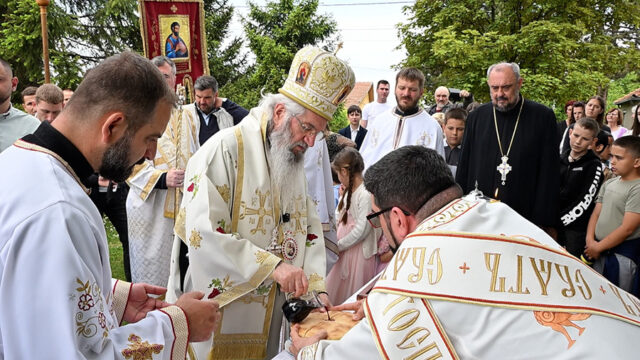 velikicrljeni12 Veliki Crljeni